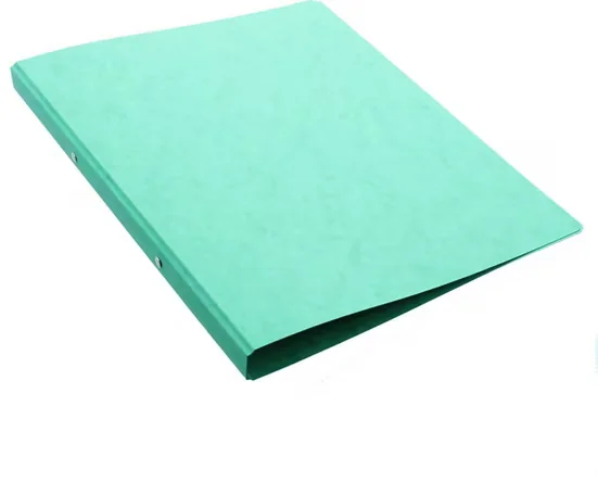 PAGNA Präsentationsordner A4 Ringbuch Karton 13 mm 2 Ringe grün