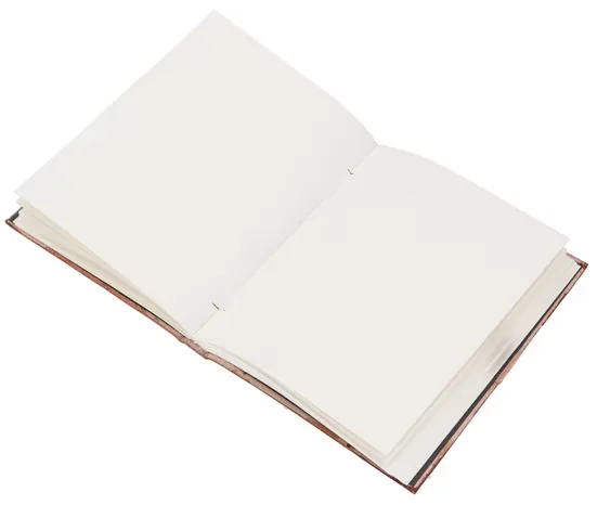 GURU-SHOP Leder Tagebuch Notizbuch mit Ledereinband